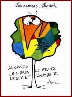 Le principe de précaution est il nuisible (1)