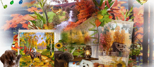 ANIMAUX EN AUTOMNE