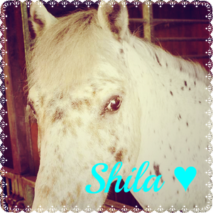Shila ♥