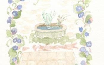 LE VOLUBILIS