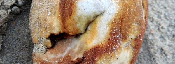 ma tête du jour  lol lol