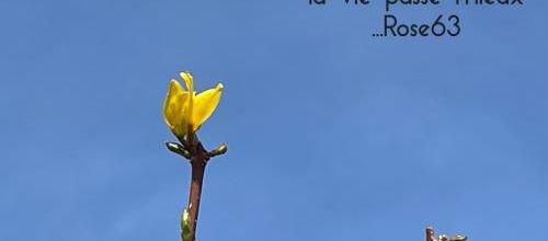 Mercredi 22 mars 2023
