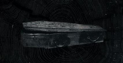 Value for money - A review of The Vision Bleak's "Timeline - An Introduction to The Vision Bleak"