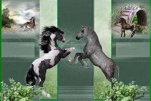 créas faites pour un forum