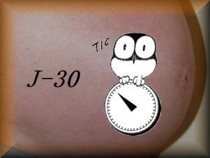 Dernière ligne droite - le 9e mois