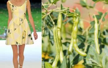 mode fashion garden flowers