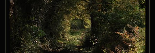 Chemin des Ombrelles