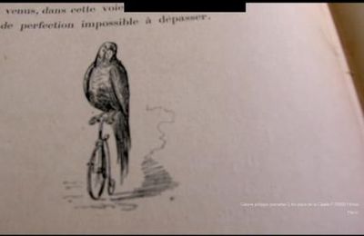 Charles Baudelaire extrait du Salon de 1846, et Compléments Biographiques