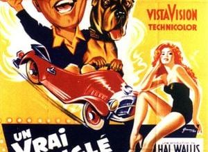 vous avez dit ELVIS du film un vrai cingle de cinema