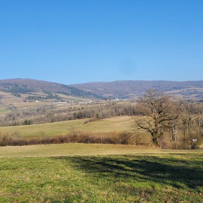 Le 17 février 2025 : Quand il n'y a pas de neige...