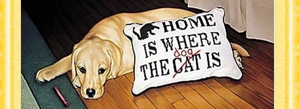 Les signaux d'apaisement