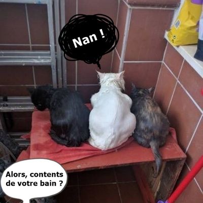 Fallait pas vous salir....