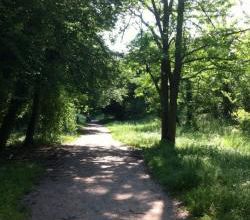 CR / Marche Douce /  MUSSONVILLE