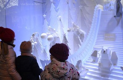 Vitrines de Noël 2016 aux Galeries Lafayette ... Suite