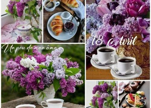 Le temps du lilas