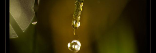 Tabl'Eau