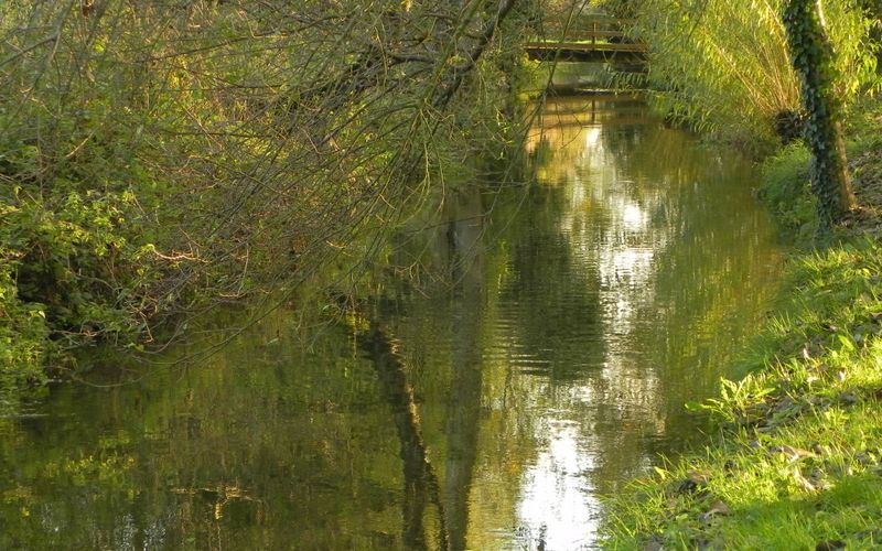 Reflets à St Germain de Marencennes