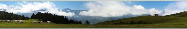 Photo panoramique sur le Plateau de Beille (1700 m) et ses vaches de race Gasconne - Les Cabannes - 09 