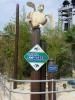 Crush's Coaster
