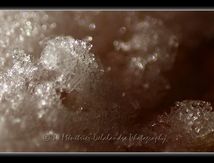 Cristaux de glace... 