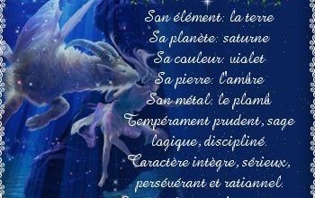 CAPRICORNE Du 22 décembre au 19 janvier