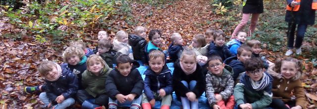 Sortie pédagogique au bois