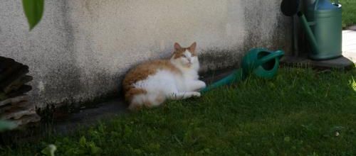 Tranche de vie ..