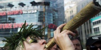 Maman a la main verte, le fils se cultive