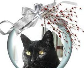 Boules de Noël