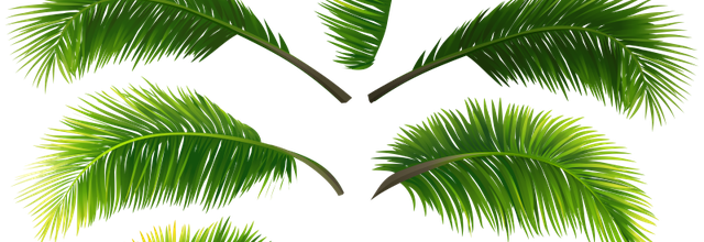 Ѽ Vegetation
