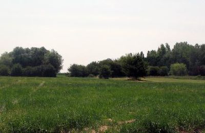 Débris de semaine : ma dernière fois à Pontarlier