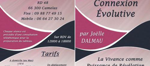 Les séances de Constellations changent de nom : CONNEXION EVOLUTIVE