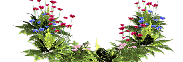 ѼVegetation