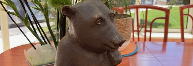 GROS OURS BRUN