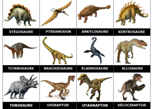 La mort des dinosaures.