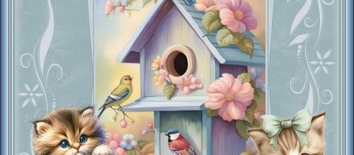 Chats et oiseaux .