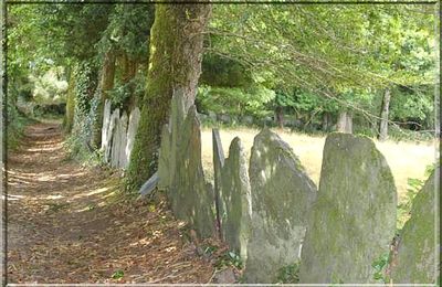 1079 - La pierre debout, dans le Finistère Sud (29S)