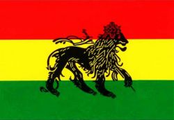Nail Art reggae