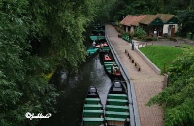 Les hortillonnages d'Amiens - les barques à cornet