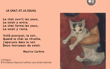 Un peu de poésie...