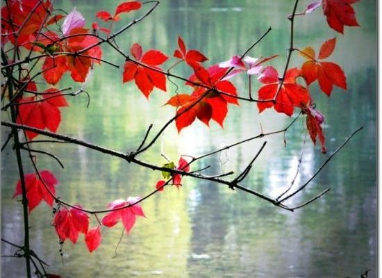 Poème de Claude Roy (Météorologie)