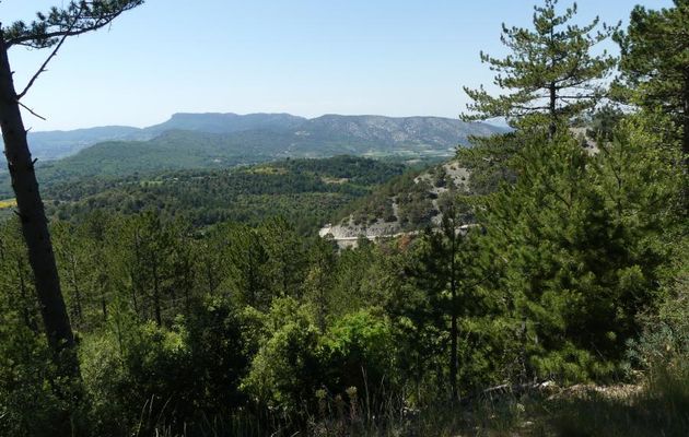 VENTOUX  OR  NOT  VENTOUX