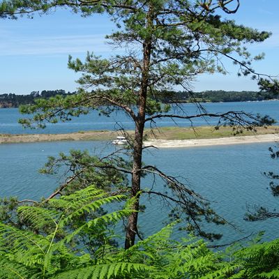 Semaine dans le Finistère  du 21 juin au28 juin 2025