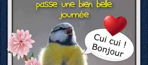 Paroles de chansons