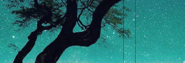 Bruits de la nuit