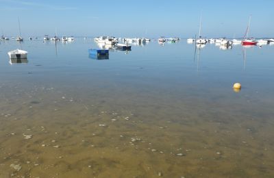 Le petit canal d'Arès en canoë...