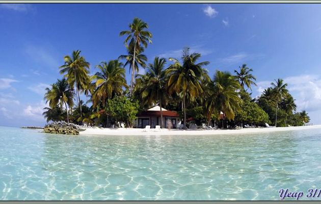 Notre Eden pour 5 nuits... - Athuruga - Atoll d'Ari - Maldives