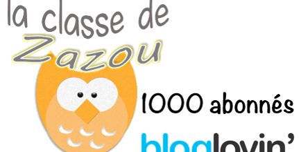 1000 abonnés bloglovin'