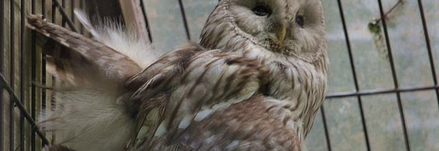 La photo du weekend : Chouette c'est le weekend !