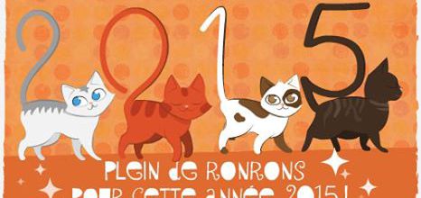 2015 en chats !